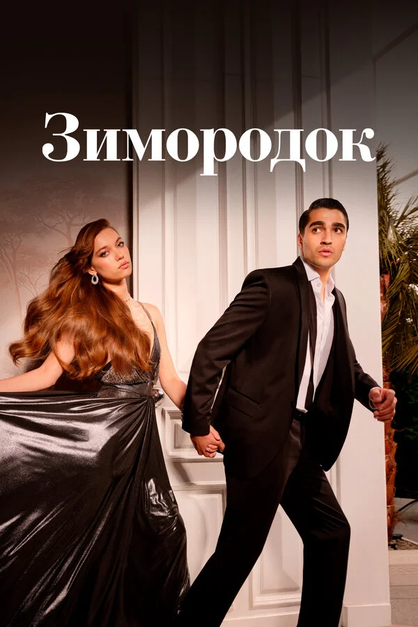 Зимородок 1 сезон 37 серия
