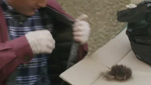 Тайны следствия 20 сезон 19 серия — кадр