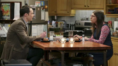 Теория большого взрыва 8 сезон 20 серия — кадр