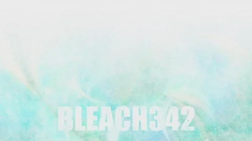 Блич 1 сезон 342 серия