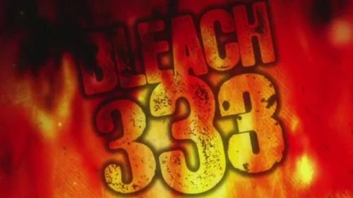 Блич 1 сезон 333 серия