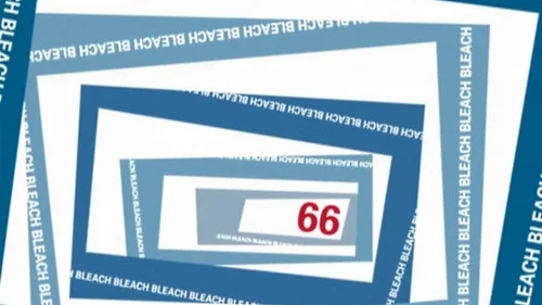 Блич 1 сезон 66 серия