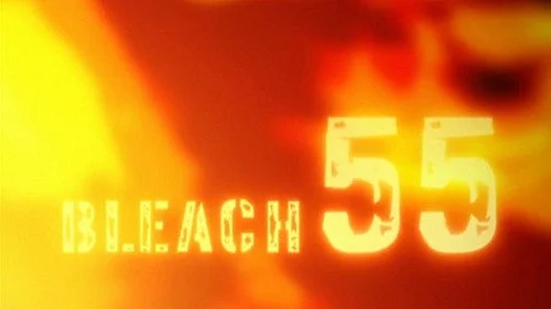 Блич 1 сезон 55 серия