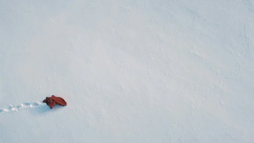 Пространство 1 сезон 7 серия — кадр