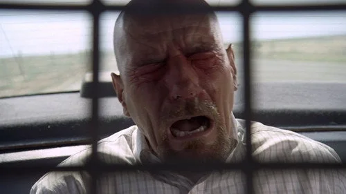 Во все тяжкие 3 сезон 2 серия — кадр